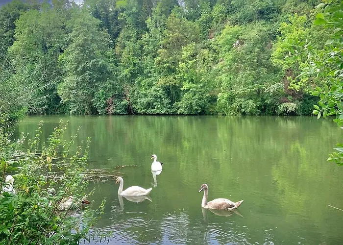 Hébergement de vacances 55m2 Cosy Au Calme Avec Terrasse Et Box Individuel
